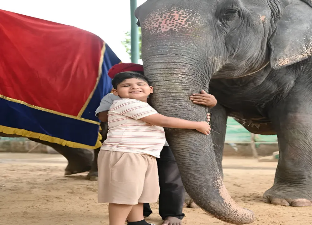 elephant quotes in hindi